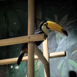 点击看大图 -Zoolung Zoolung动物主题公园(海信广场店)