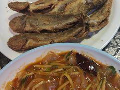 东北大拉皮-杨记齐齐哈尔烤肉(五莲路店)