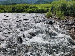 -兰河峪第117加油站