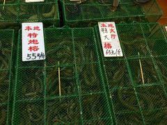 -荔城生鲜盛宴(番禺旗舰店)