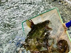 -丁哥·庐味鲜 土菜·20年老字号(世纪阳光花园店)