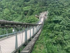-娄山关景区