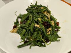 -杨氏青龙虾·羊蝎子(托乐嘉店)