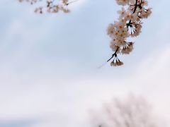 -江南大学(蠡湖校区)