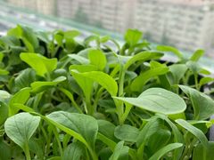 -璐坊粽王(复兴中路店)