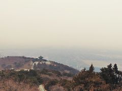 -北京西山国家森林公园