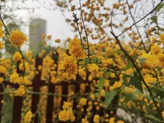 -陕西省西安植物园