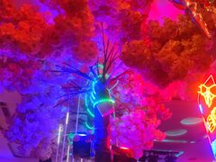 -巴特餐饮6加1音乐餐吧·新疆菜