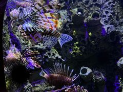 -太平洋海底世界