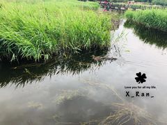 -前关湿地公园
