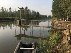 -白洋淀景区