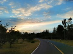 -武清南湖绿博园