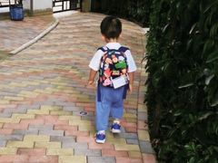 -小风车金桥丽都幼儿园(金桥店)