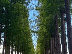 -南北湖风景区