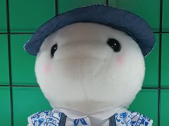 -珠海横琴国际网球中心