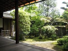 -下关沱茶(大理古城店)