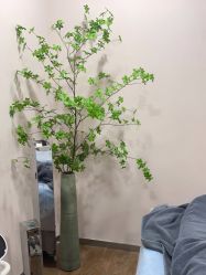 点击看大图 -上海首尔丽格医疗美容医院
