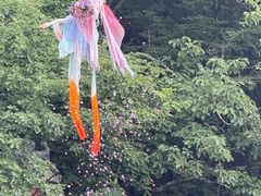 -洛阳白云山景区