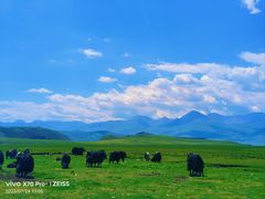 -新疆那拉提国家旅游度假区
