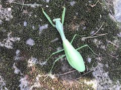 -小格里自然风景区