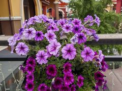 -香融府·烤鸭·家常菜(花乡奥莱店)