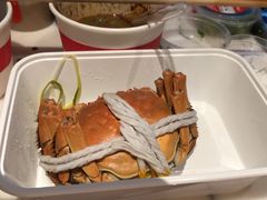 -黄记大闸蟹专卖店·活蟹·醉蟹