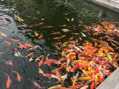-番禺宾馆丽苑厅