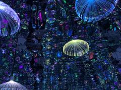 -深圳独角兽星空艺术馆