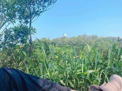 -梧桐山风景名胜区