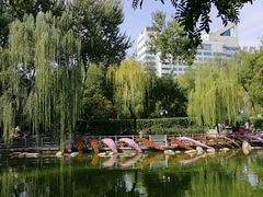 -莲湖公园