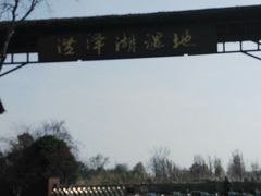 -泗洪洪泽湖湿地景区