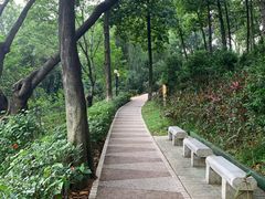 -云溪植物园