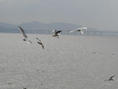 -深圳湾公园(南山区)