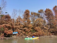 -上海海湾国家森林公园