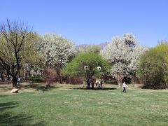 -沈阳植物园