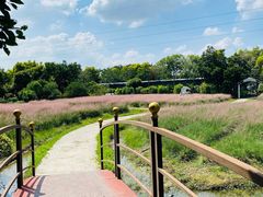 -广东花都香草世界旅游度假区