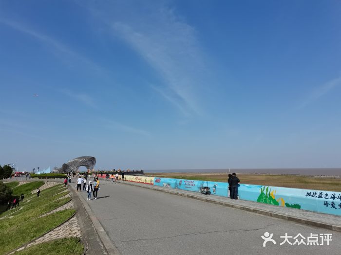 南汇嘴观海公园图片
