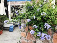 -深圳海边小筑客栈