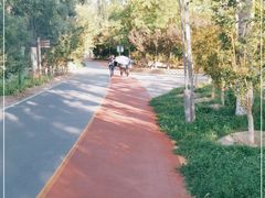 -大兴滨河森林公园