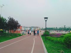 -丁香湖公园