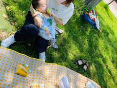 -滆湖低碳生态公园
