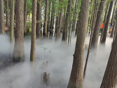 -东湖落雁景区