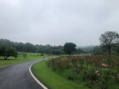 -宜兴龙背山森林公园