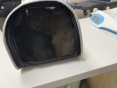 -宠颐生宠物医院·综合诊疗(先锋分院)