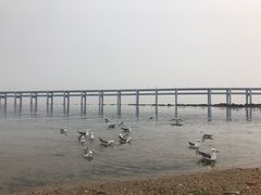 -黑石礁公园