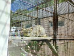 -青藏高原野生动物园