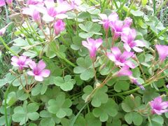 外景-河南省黄河迎宾馆