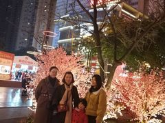 -龙聚德北京烤鸭(沙坪坝华宇A馆店)