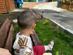 -泉州海丝野生动物世界