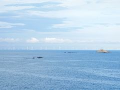 -湄洲岛